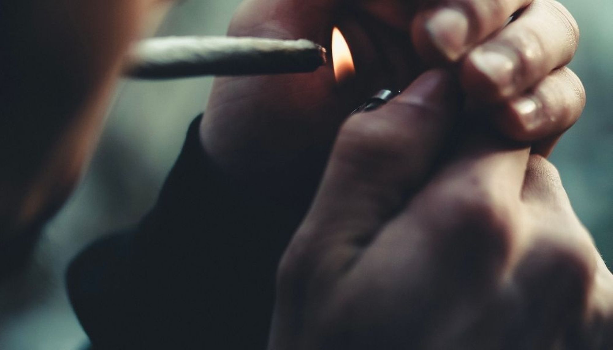 Parquets de Nîmes et d'Alès