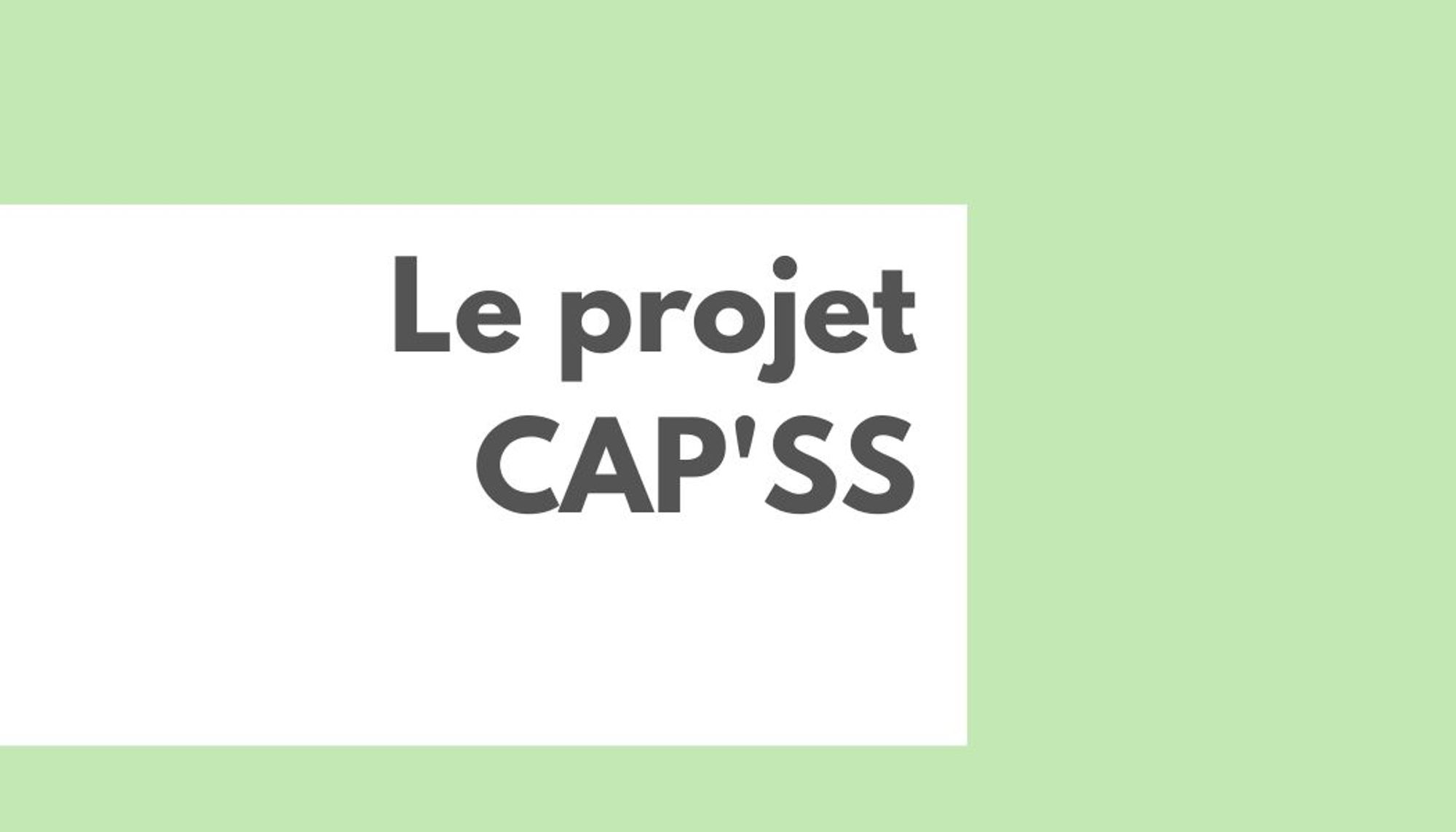 Le projet 