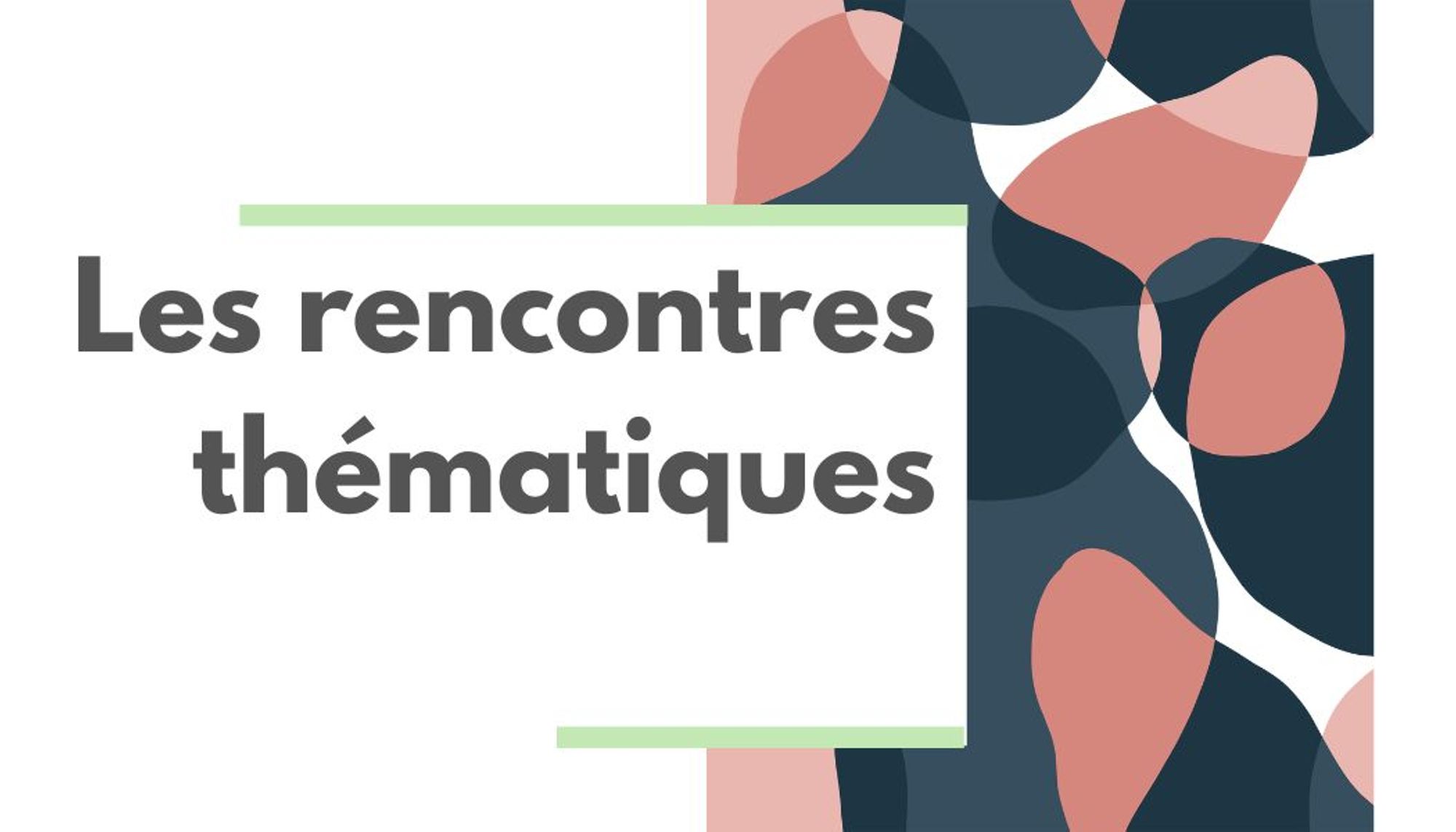 Les rencontres thématiques à destination des professionnels