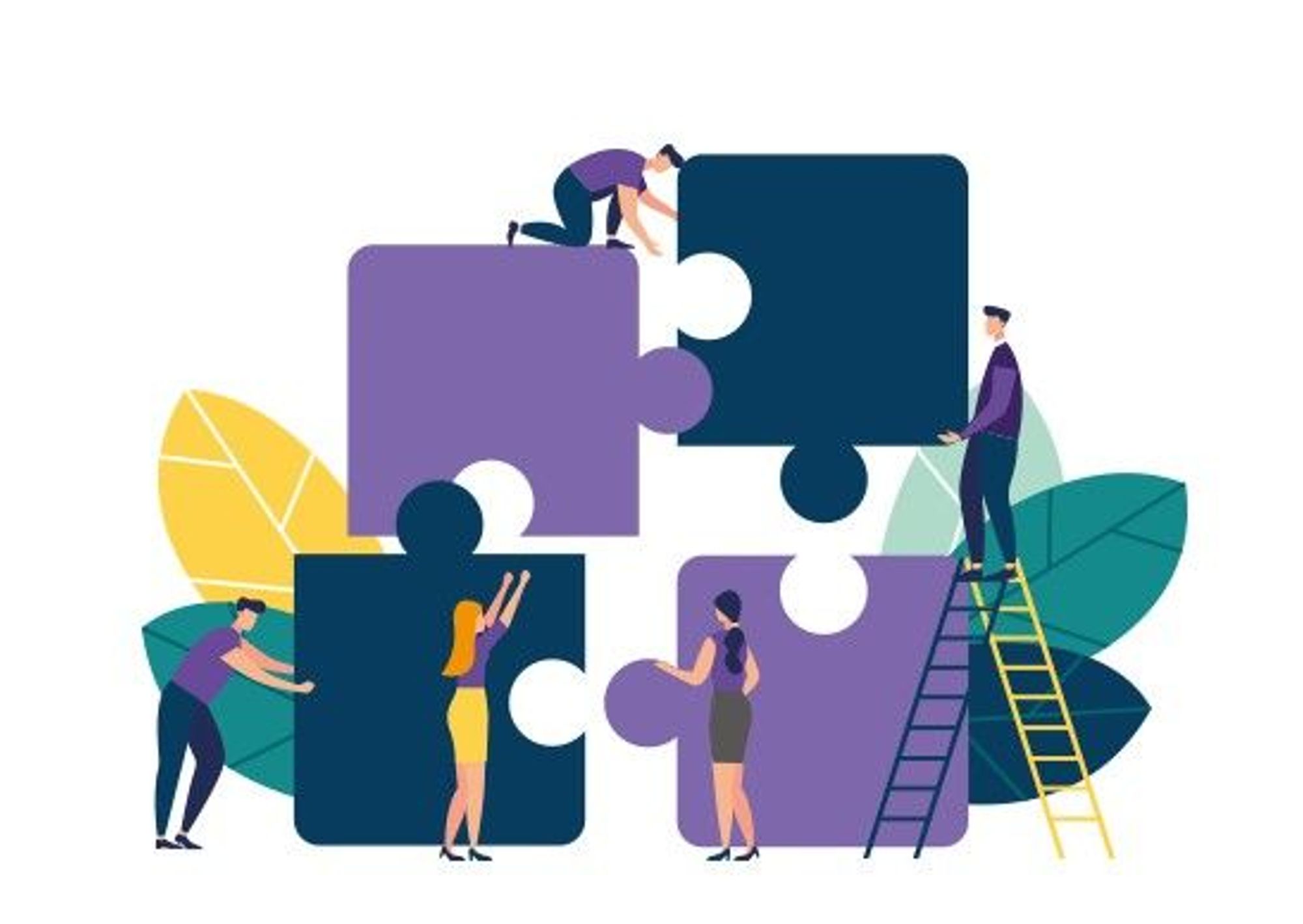 Découvrir le projet 