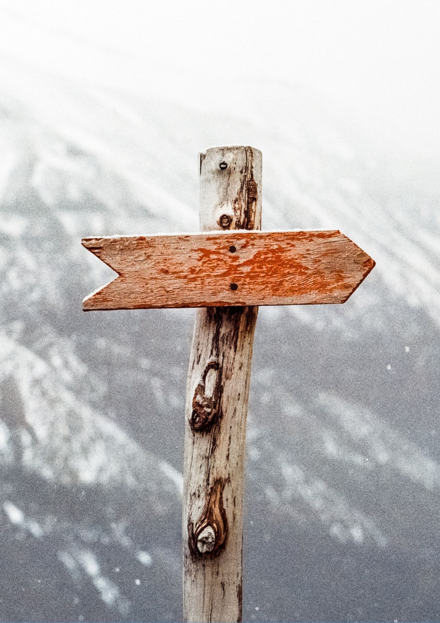 Guides et formations en ligne