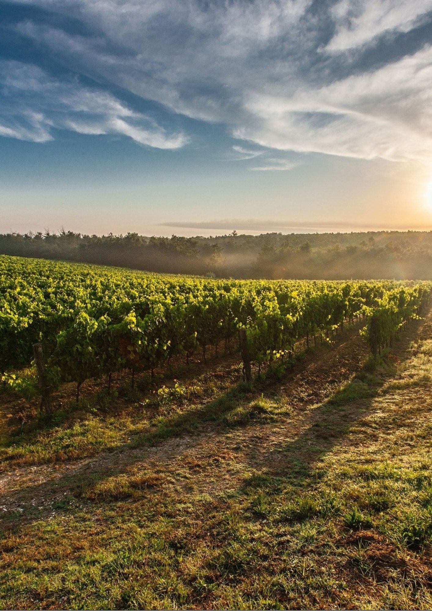 Secteur Bagnols-sur-Cèze