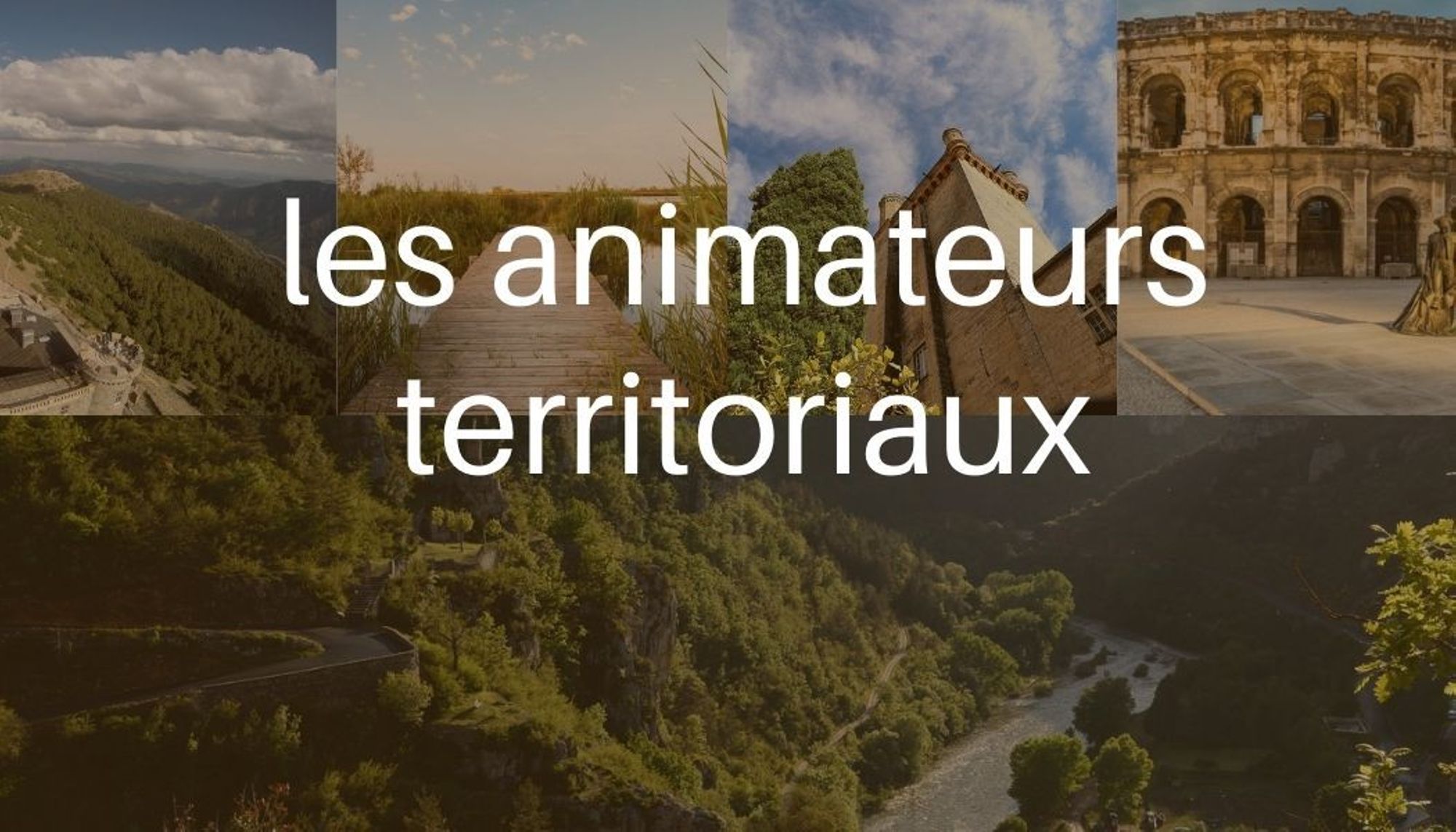 Les animateurs territoriaux